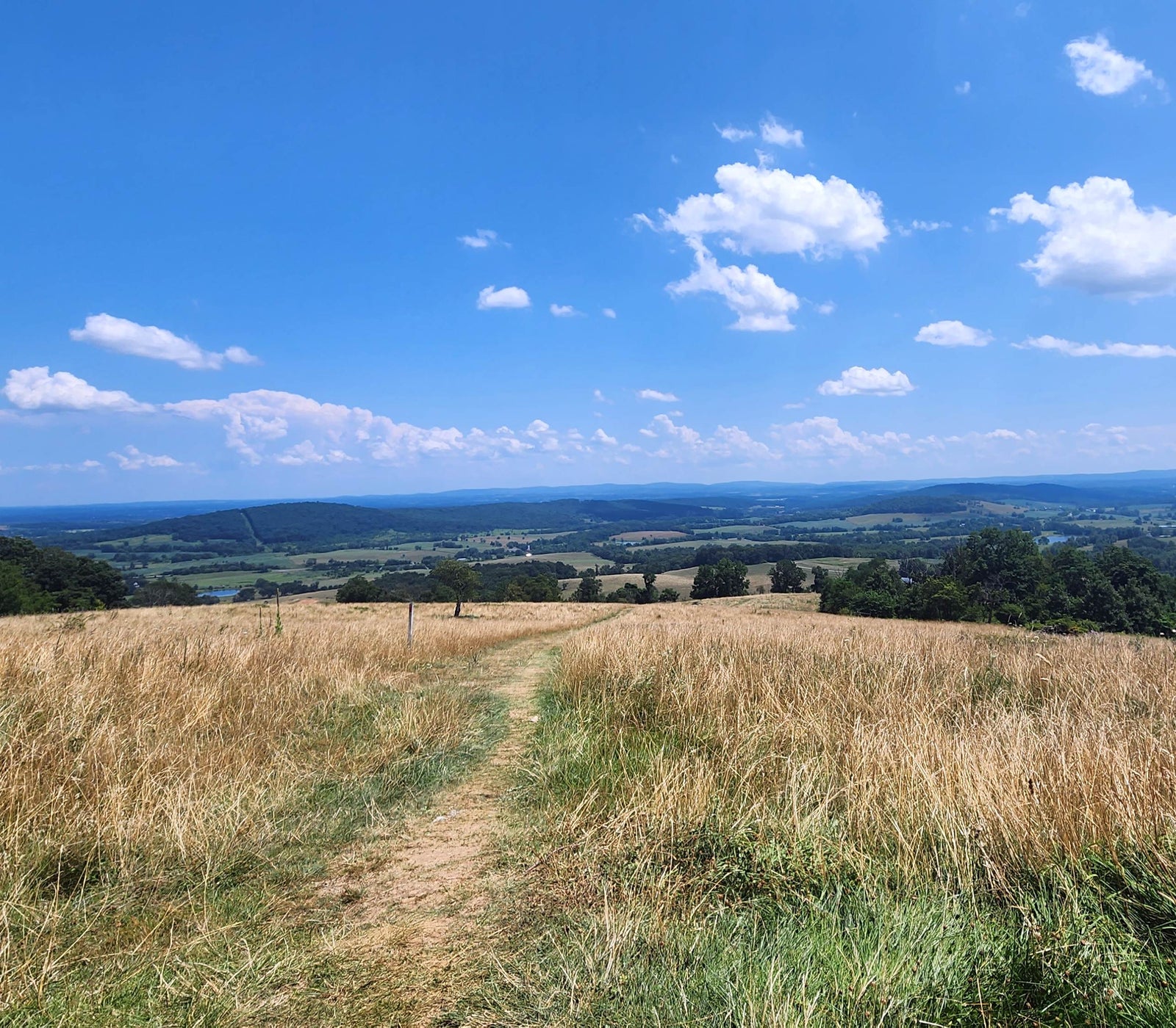 Sky Meadows