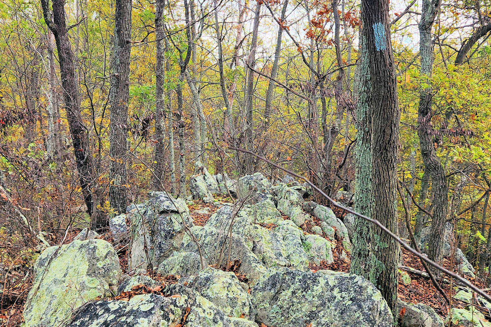 Elizabeth Furnace Recreation Area